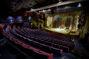 A View of the Main House Auditorium from the rear, showing rows of seating and a stage with a woodland set, lit for performance.